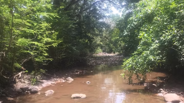 Farm for sale in Chinandega