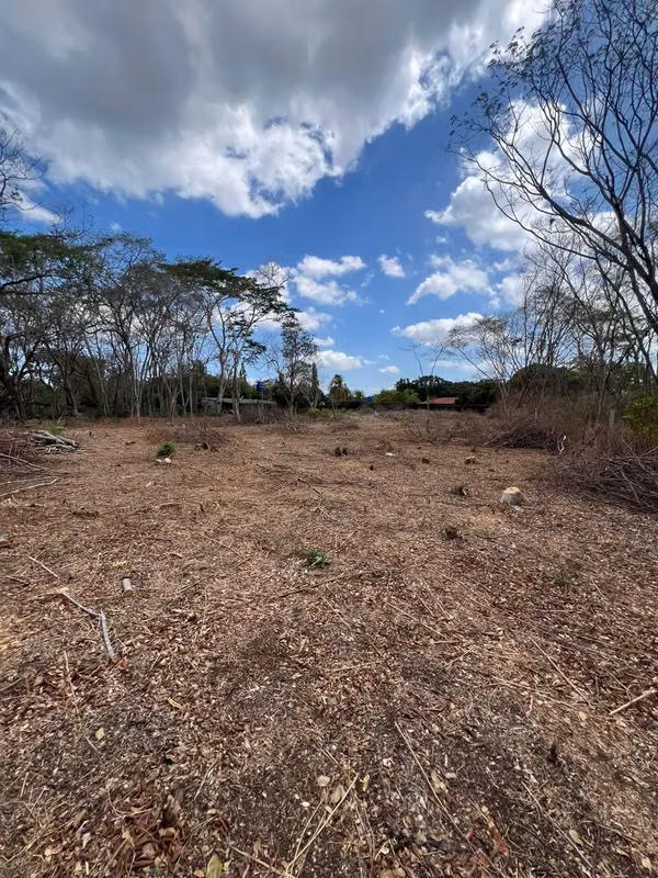 NO-Selling land in Masaya Road km 15