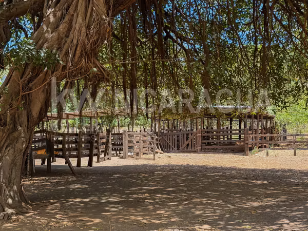 OPORTUNIDAD DE INVERSIÓN EN MANAGUA – 26 MANZANAS
