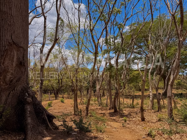 OPORTUNIDAD DE INVERSIÓN EN MANAGUA – 26 MANZANAS
