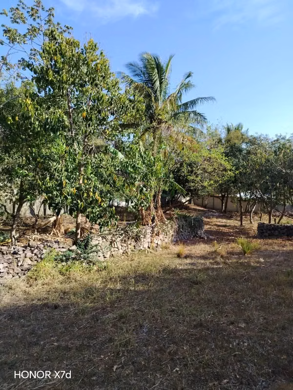 Lote 2,237 varas cuadradas