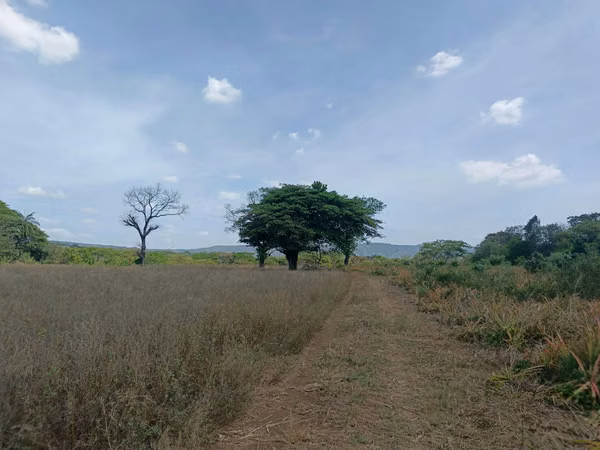 5 BLOCKS OF LAND ARE SOLD IN TICUANCIE