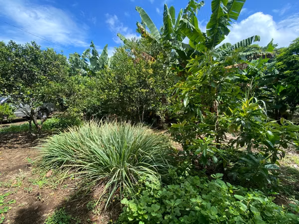 Land for Sale of 4,657.70 v² near Masaya Highway
