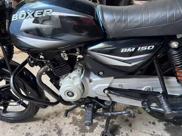 Linda boxer 150