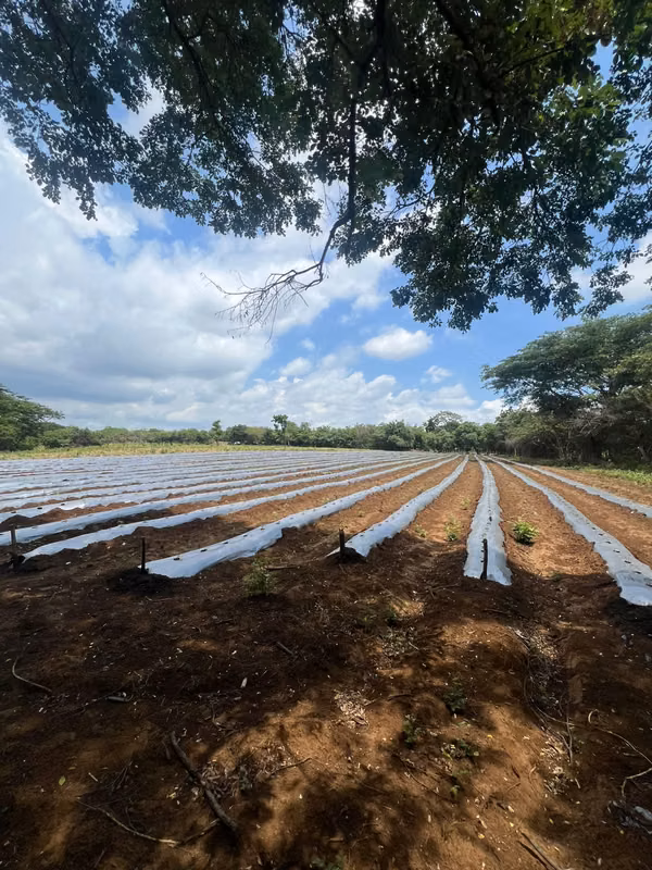SL-Vendo finca en San Rafael del Sur