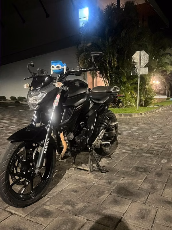 Fz250