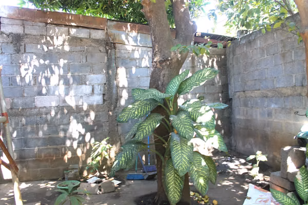 EM-Excellent opportunity on a busy highway in Lomas de Guadalupe
