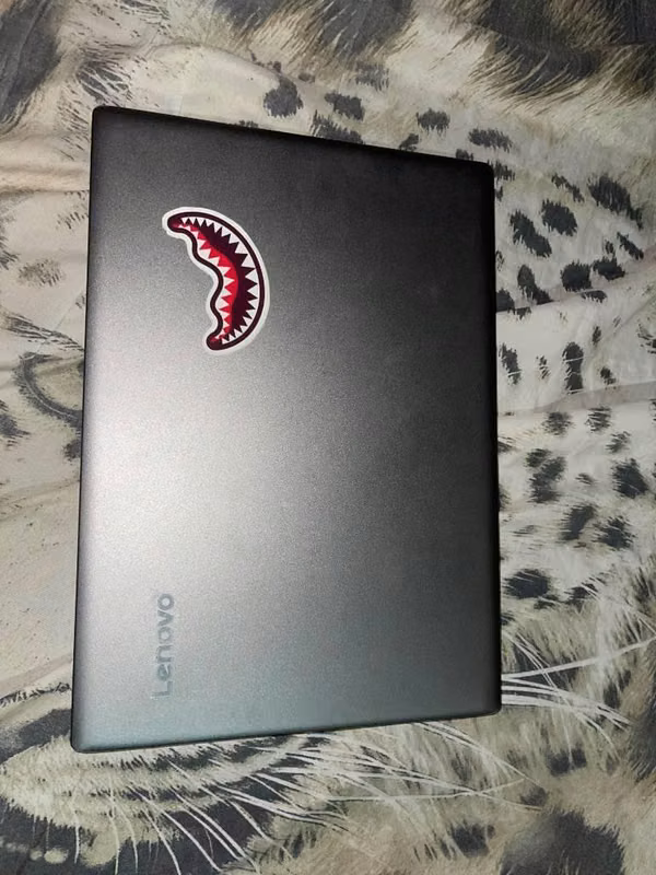 Lenovo Ideapad 320s