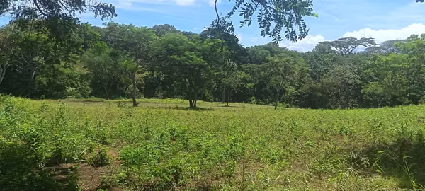 EXCELLENT INVESTMENT OPPORTUNITY IN JINOTEPE, CARAZO