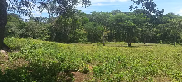 EXCELLENT INVESTMENT OPPORTUNITY IN JINOTEPE, CARAZO