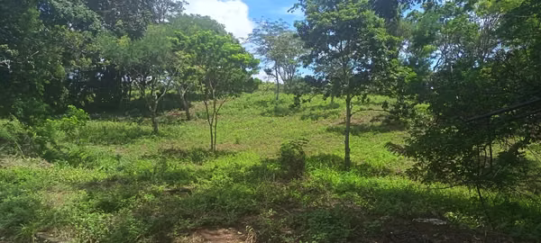 EXCELLENT INVESTMENT OPPORTUNITY IN JINOTEPE, CARAZO