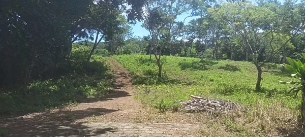 EXCELLENT INVESTMENT OPPORTUNITY IN JINOTEPE, CARAZO