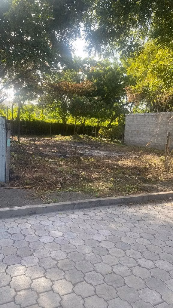 Lot of land