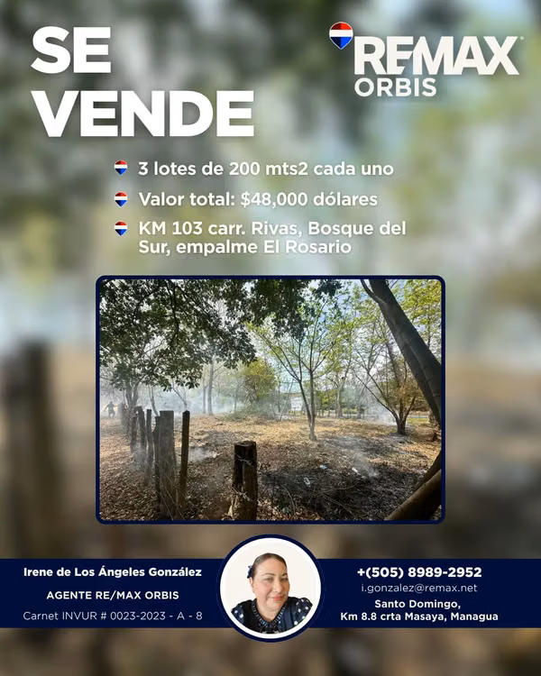 Enabling or commercial investment opportunity.