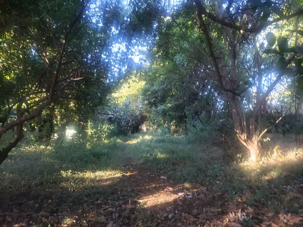 Venta de amplio lote de terreno en km 15.9 C. Masaya