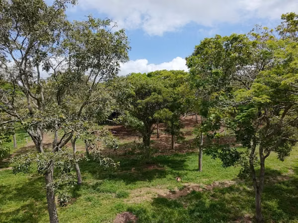FPX_ **Gran oportunidad de inversión en Jinotepe, Carazo**