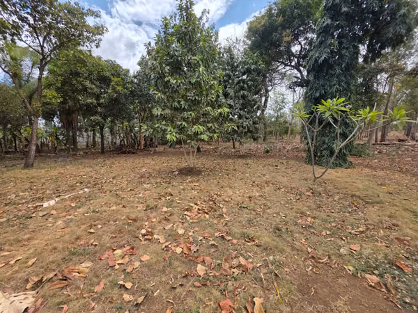 FH | Terreno en Venta | Sabana Grande