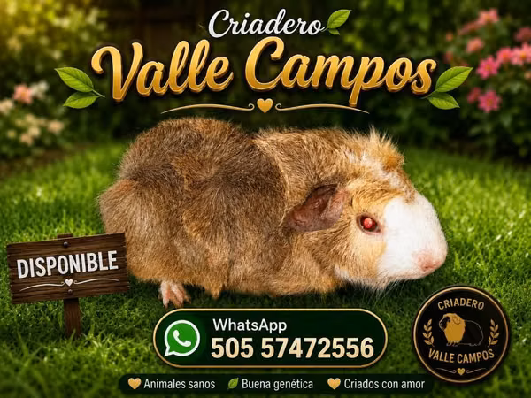 Necesitas un amigo q no te fallara ...