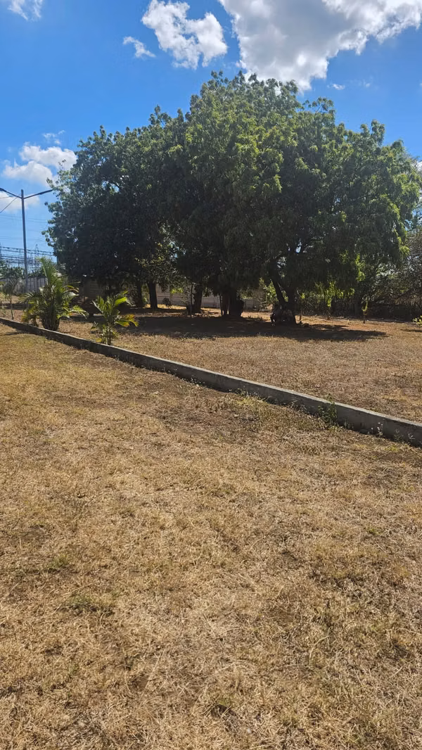 LOT FOR SALE IN TICUANCIA