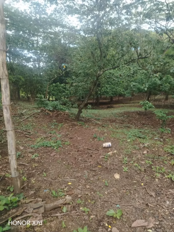 Venta lote 9,000 varas cuadradas Entrada Filo cuajacillo