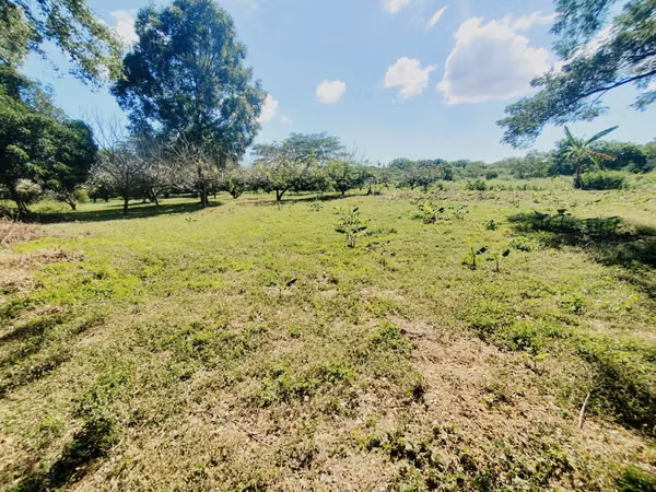 DG-Vendo terreno en Tisma km 38
