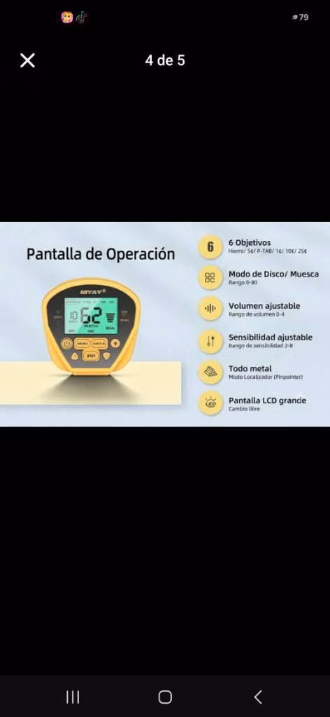 Metal detector