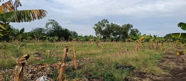 Se vende terreno de 1 manzana a la orilla de la carretera hacia corinto