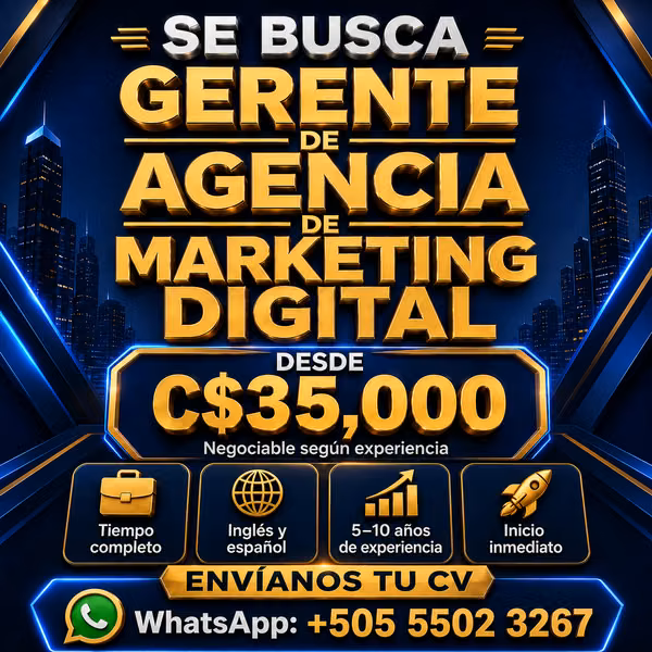 Gerente de Agencia de Marketing Digital