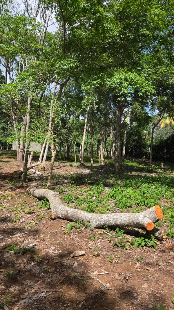 KM49 CARRETERA JINOTEPE TERRENO EN VENTA