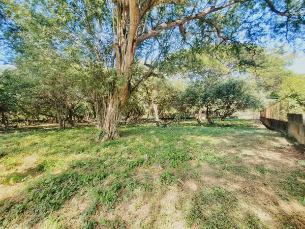 ¡SE VENDE! Terreno en Carretera Tisma km 38