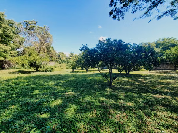 ¡SE VENDE! Terreno en Carretera Tisma km 38