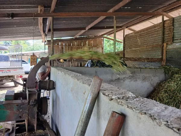Silo bolsas de pastos para ganado bovino y caprini