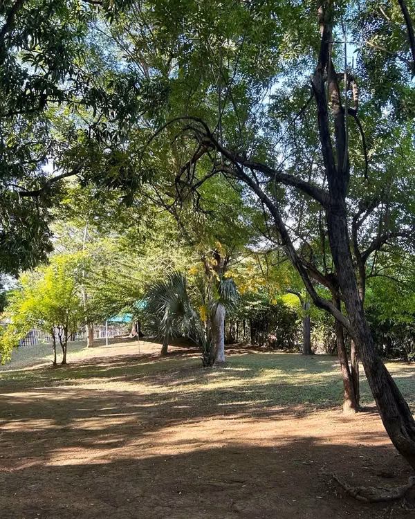 Lot for sale in Santo Domingo