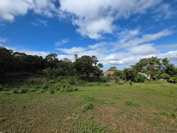 AG, SE VENDE 5 MANZANAS DE TERRENO EN SANTO DOMINGO