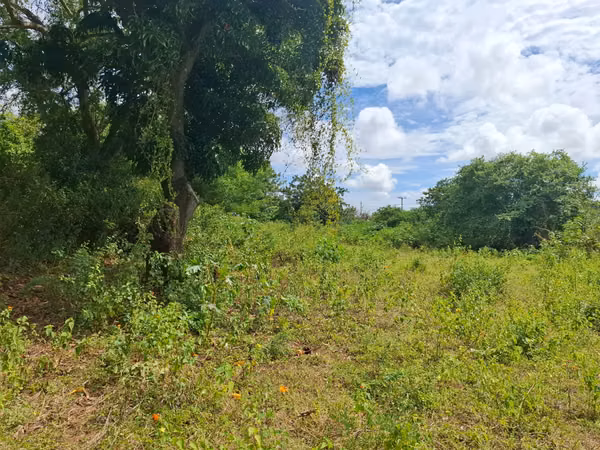 GG - Venta, terreno de 7000 Vrs2 en Altos de Santo Domingo.