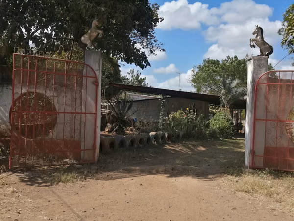 AG, SE VENDE FINCA DE 2 MANZANAS EN LAS FLORES