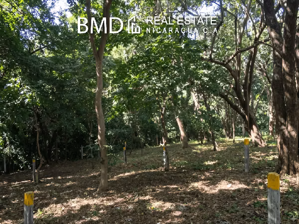 Terreno exclusivo y amplio espacio en entorno natural en Intermezzo del Bosque 5382