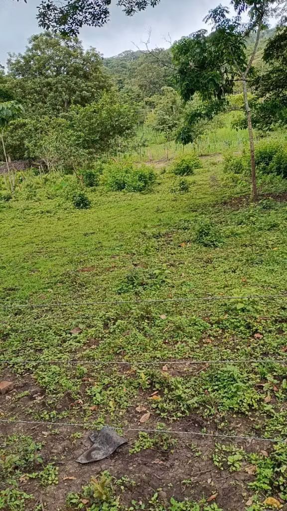 Finca Matagalpa Nicaragua escritura derechos reales