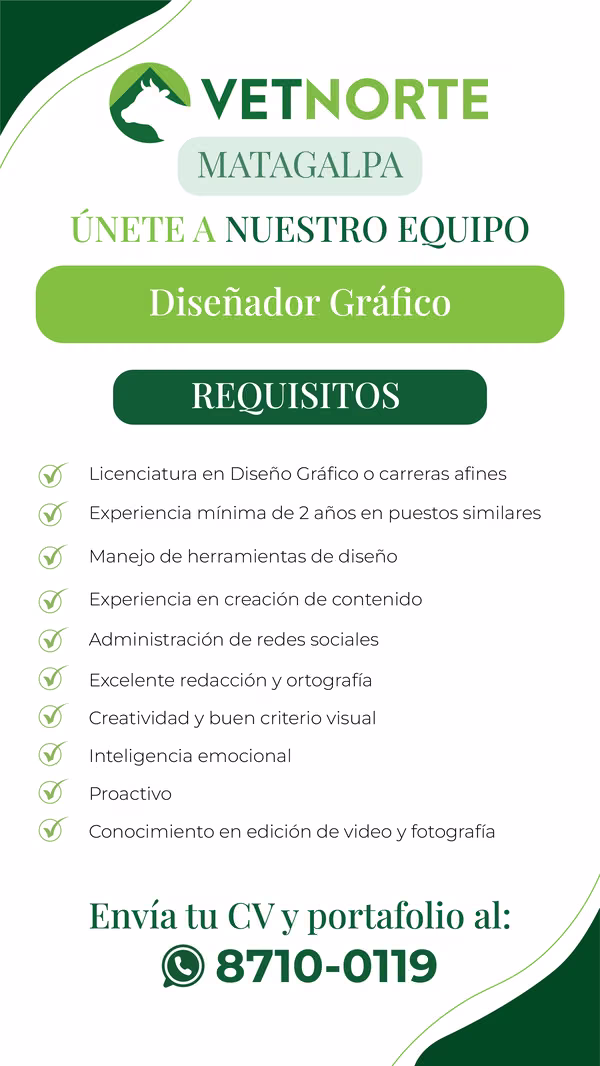 Graphic Desing