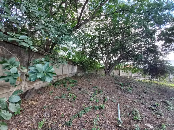 LAS COLINAS  | VENTA DE TERRENO PERIMETRADO CON MURO DE PIEDRA CANTERA – US$180,000