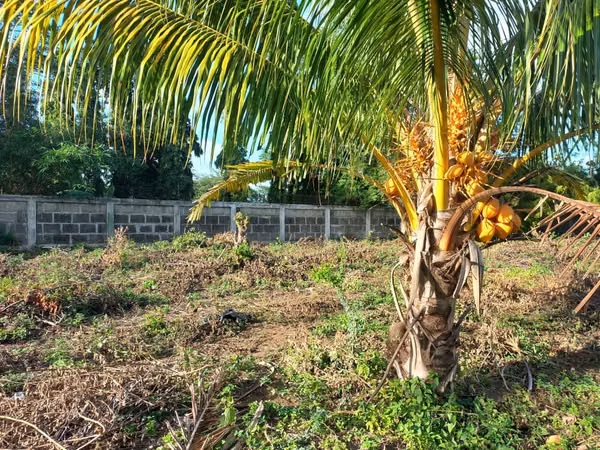 LAS COLINAS  | VENTA DE TERRENO PERIMETRADO CON MURO DE PIEDRA CANTERA – US$180,000