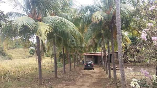 Lot for sale in Ticuantepe