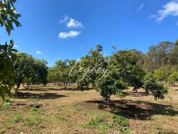 LD-Finca Productiva en Jinotepe!