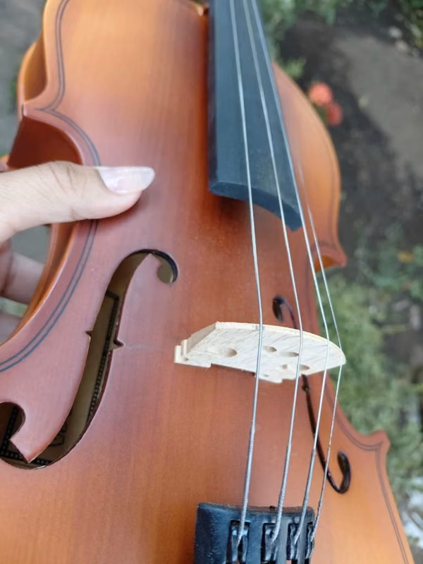 Violin Palmer Praga