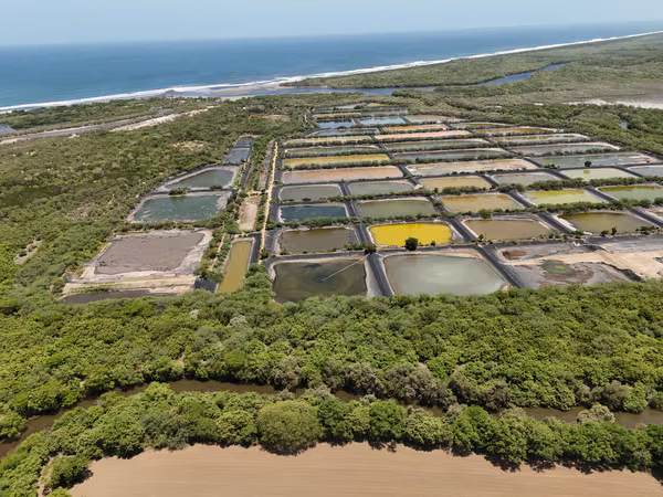 Shrimp Farm Infrastructure with Exceptional Redevelopment Potential