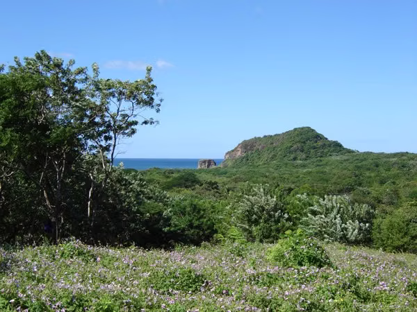 Vista San Martin 28 Popoyo