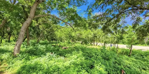 Remanso Prime Land for Development on the New Coastal Highway.
