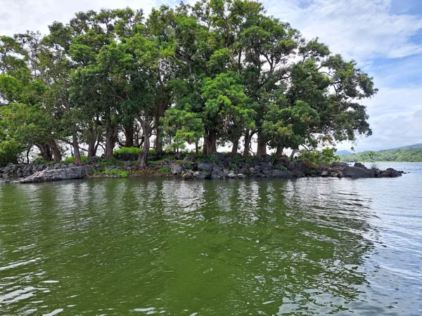 Isleta El Coyol Stunning Island in Las Isletas de Granada in Nicaragua