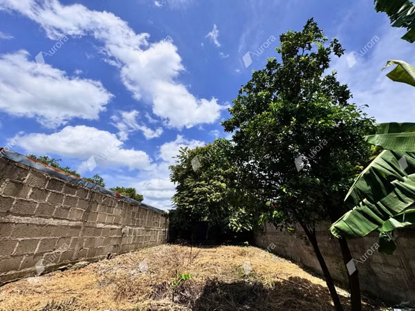 Prime Lot in Leon Center: A Developers Dream