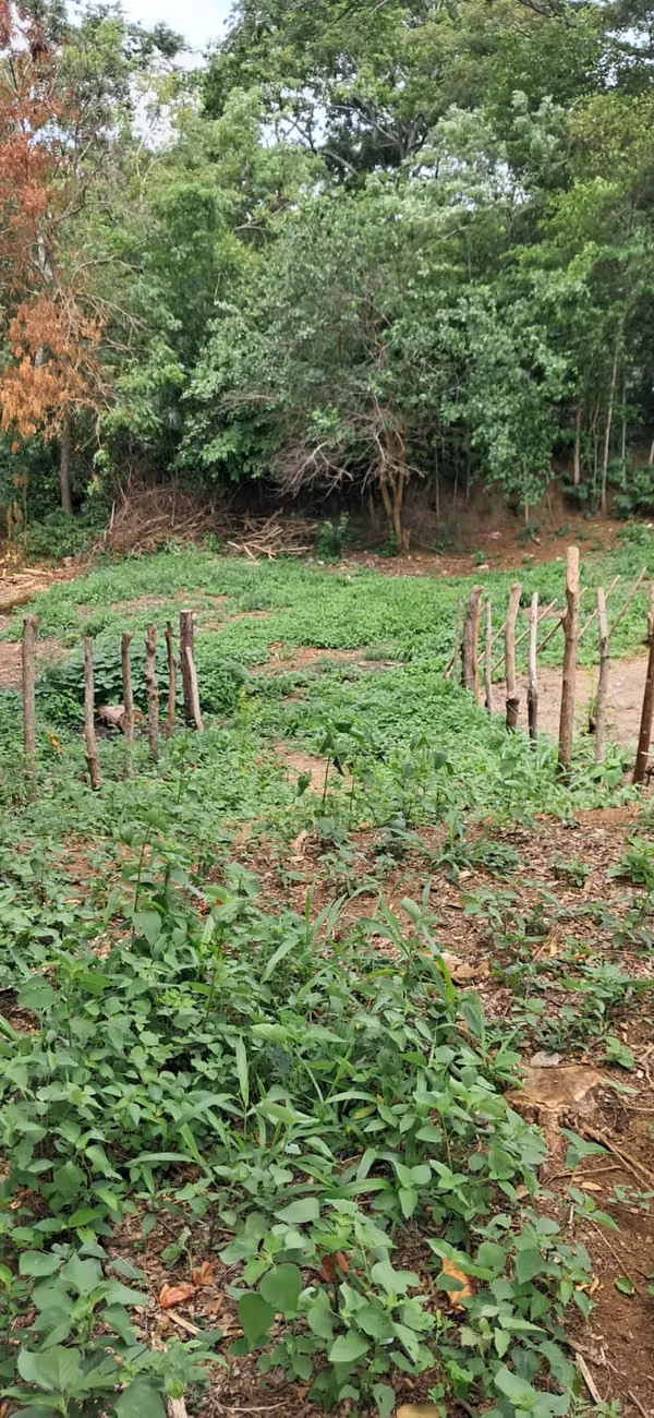 Terreno Villa Holanda  Masaya